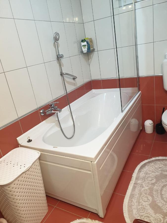 Apartment Sofia Zupanja